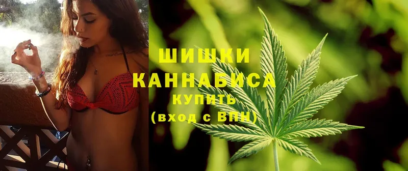 Шишки марихуана OG Kush  цены наркотик  Болохово 